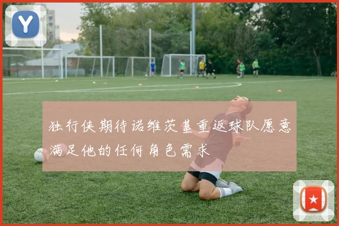 独行侠期待诺维茨基重返球队愿意满足他的任何角色需求
