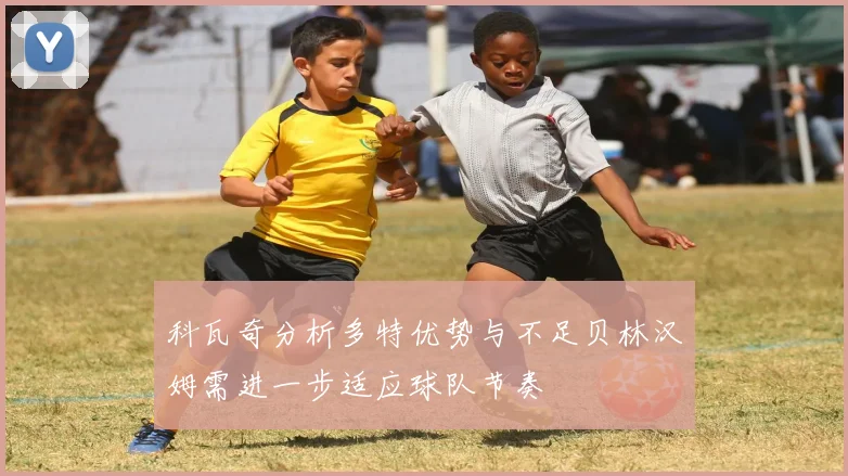 科瓦奇分析多特优势与不足贝林汉姆需进一步适应球队节奏