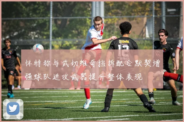 怀特称与武切维奇挡拆配合默契增强球队进攻武器提升整体表现